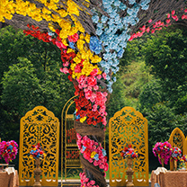 重庆萝亚《婚礼梦幻岛》婚礼秀5月24日落下帷幕