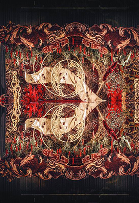 美哉，我的爱人