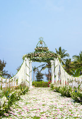 北纬51度的约定