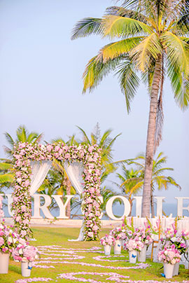 hallo kitty 你的梦