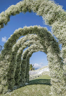 若流年有爱，就坠落星辰
