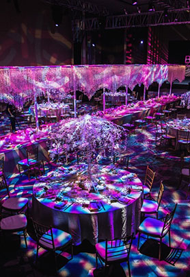 与Dior小姐的邂逅