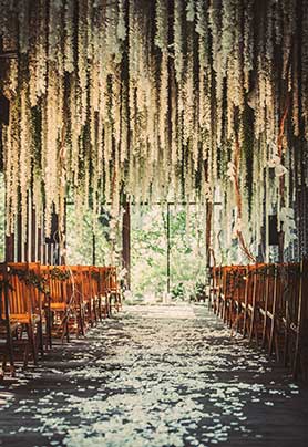 把你的名字刻进我们爱的年轮