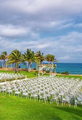 愿岁月可回首，且以深情共白头