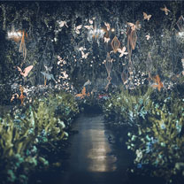 她就像森林中婉约的可爱精灵,而他是森林中给她安全感的可靠大树......