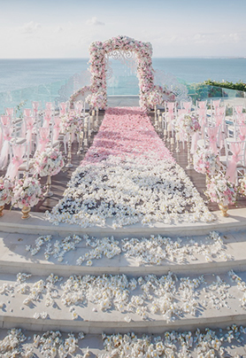 蜜粉如我，蔚蓝如你