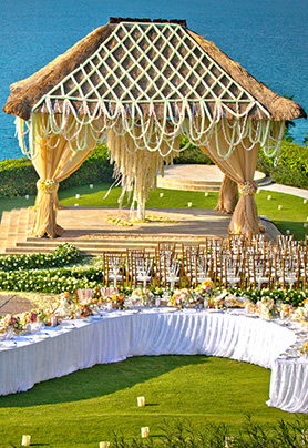 严屹宽&杜若溪（宽·杜）