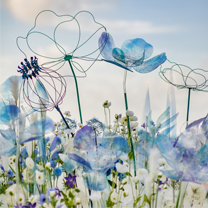 2017亚洲婚礼风尚盛典·宴会趋势发布| DC大蔡Wedding《梦与绘》——庄生晓梦迷蝴蝶