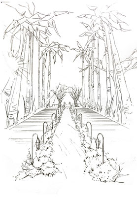 纸面线稿步骤图