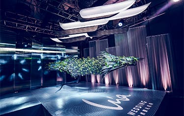 2017亚洲婚礼风尚盛典  | VIA（唯然）婚礼机构《合》