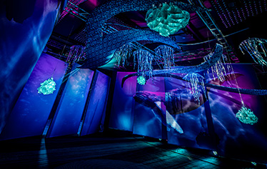 2017亚洲婚礼风尚盛典 | 杭州艾诺婚礼策划《温度》