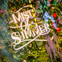 MIST OF SUMMER · 浅花谜夏 | 让情怀随迷花绽放