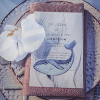 一见钟情，在海里