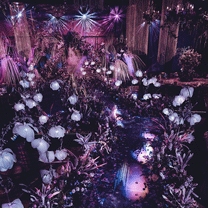 真实婚礼 | 一座美丽的精灵之岛，神秘深远，处处有着闪光的惊喜......