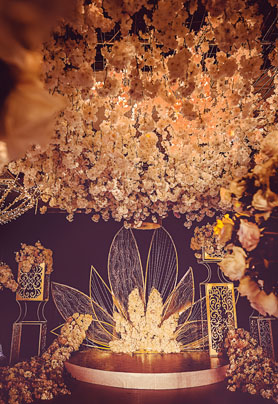 Obsessed with the elf