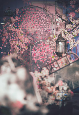 你是人间的四月天