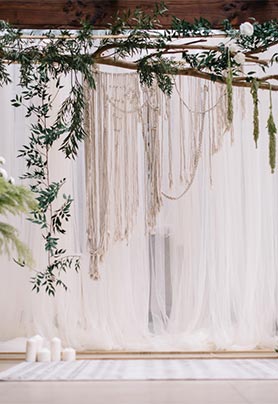 年轮棕与乔木绿