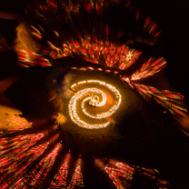 谁说荒芜的沙漠寸草不生，婚礼在这里生长出一片璀璨花海