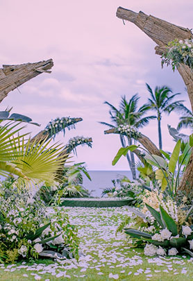 夏有乔木 雅望天堂 