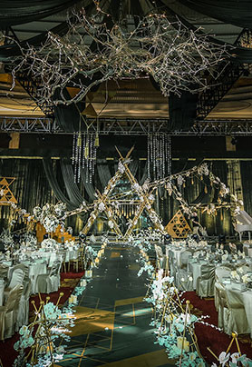 Looking at the Starry Sky