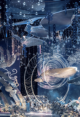 当巨蟹遇见巨蟹