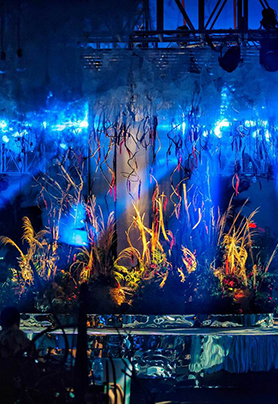 La flore du désert 异路狂花