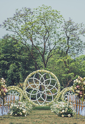 白茶清欢无别事，我在等风也在等你