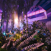 别致梦幻!这场时尚大秀竟让沙漠“长”出了森林~