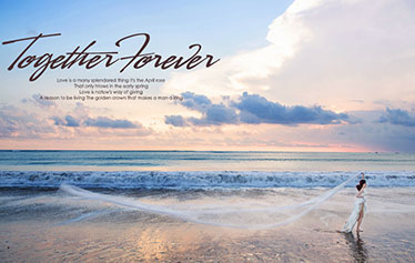 陆止于此海始于斯