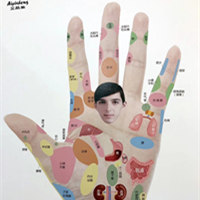 彩妆秀养生——专业手诊课