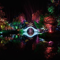 谁说江南总多情,他们用灯光为你展示不一样的绚丽色彩