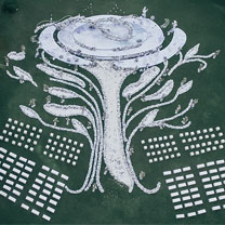 暴晒,大雨外加8级台风冲击,这场海岛婚礼不容易