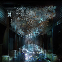 丽思卡尔顿酒店众星云集的年度大秀惊艳落幕！