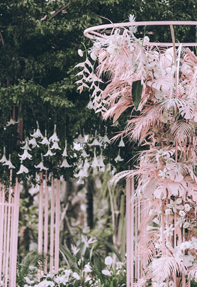 追逐世界的女孩