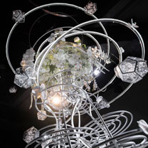 2018创意设计大赛 |  时尚、奢华、梦幻... 都不及这份走心的真实、感动与自然