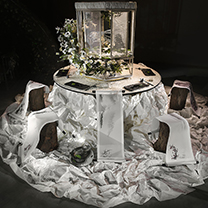 风尚活动 | 【2018创意设计大赛】用纸巾、大米做设计？他们的奇思妙想可不只是说说而已