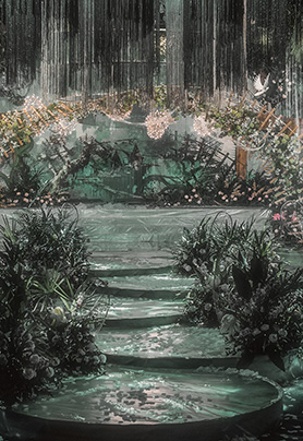 森林里的追光者