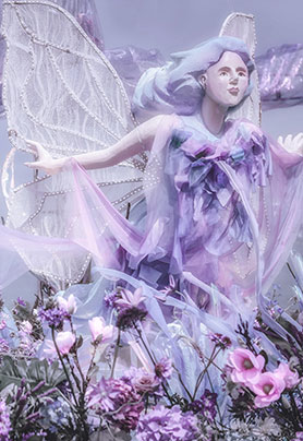 水月镜花，浅草画蝶