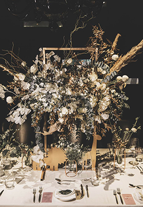 Freeze-frame·定帧