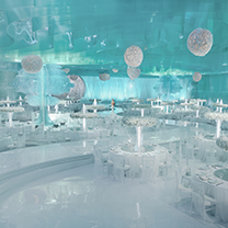 美兮，壮哉，蔡上用巧心匠思“书写”了一曲「云上书」