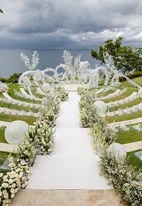 掉进兔子洞的鱼