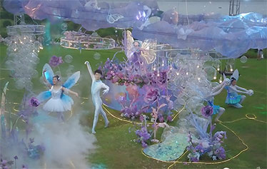 水月镜花，浅草画蝶