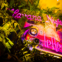 行业快报 | 够潮、够酷、够有趣，这场年度圣诞趴简直美的过分