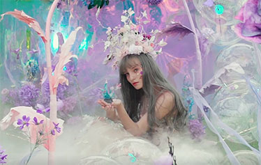 水月镜花，浅草画蝶