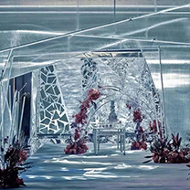 极致的通透感,看这场婚礼就够了!