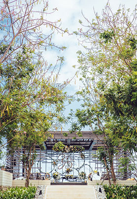 浅黄深紫，破茧如蝶（仪式篇）