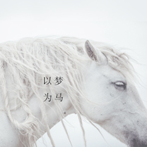 心心念念,愿来日再续