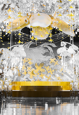 桂花可以泡吗？