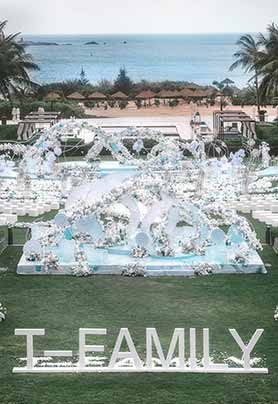 一颗在海岛开花的树