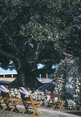 澳大利亚·悉尼婚礼